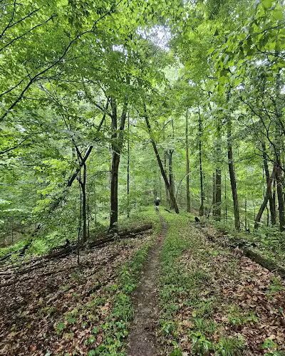 Nebo Ridge Trailhead - Nashville, IN