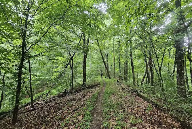 Nebo Ridge Trailhead - Nashville, IN
