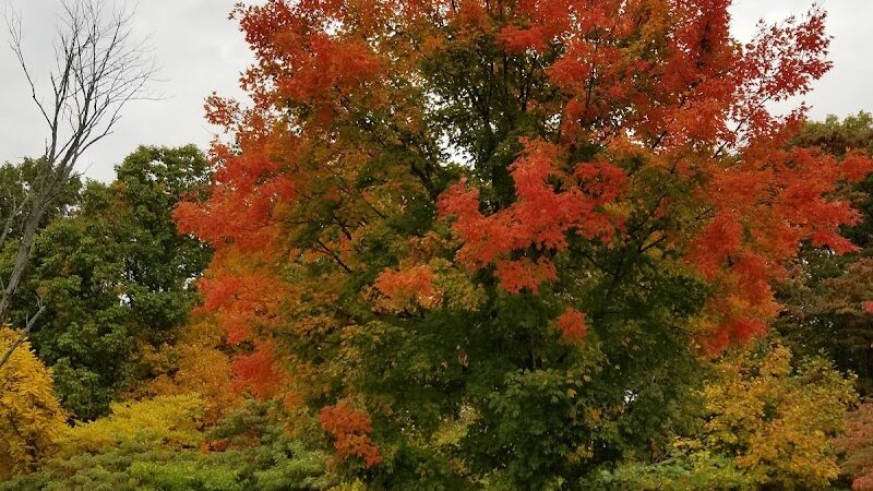 Ogle Hollow Nature Preserve - Nashville, IN