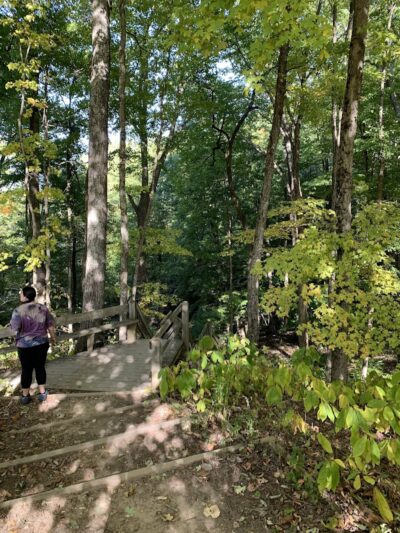 Ogle Hollow Nature Preserve - Nashville, IN