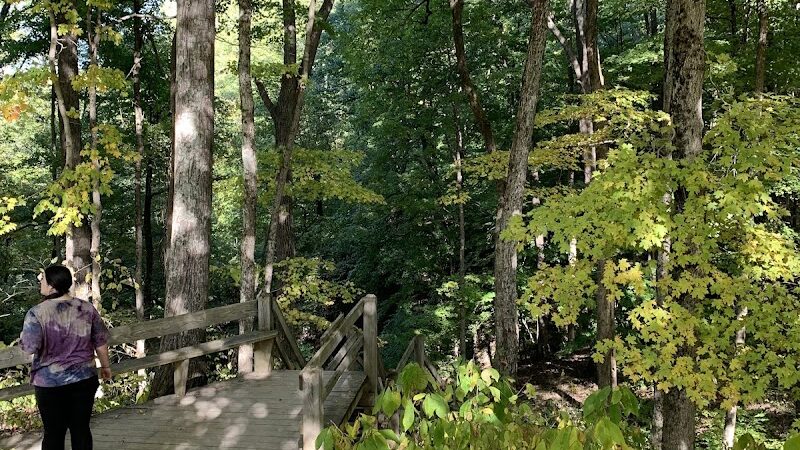 Ogle Hollow Nature Preserve - Nashville, IN