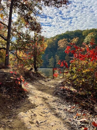 Ogle Lake Trail 7 - Nashville, IN