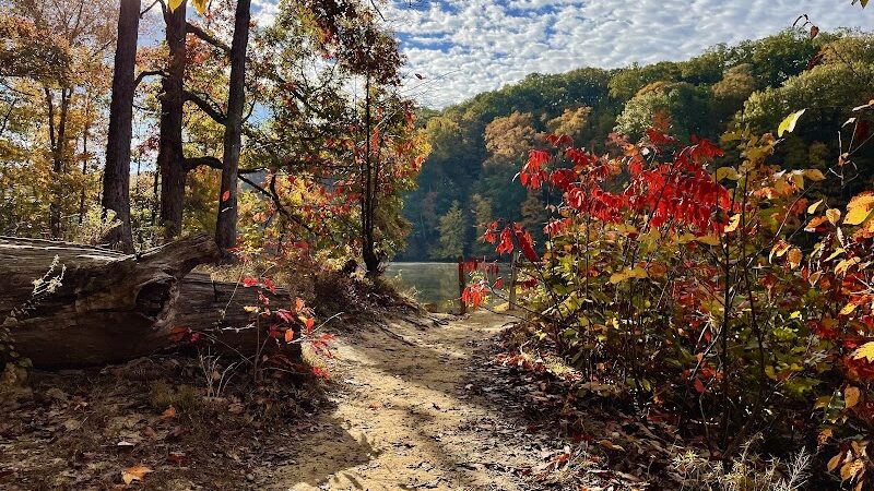 Ogle Lake Trail 7 - Nashville, IN