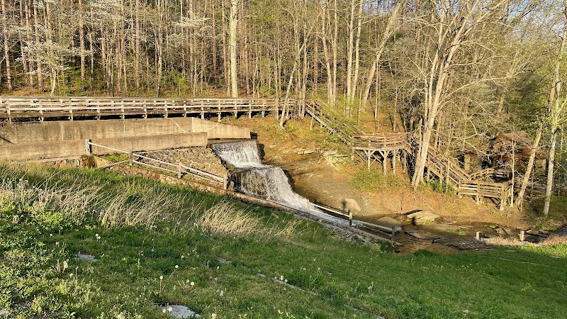 Ogle Lake Trail 7 - Nashville, IN