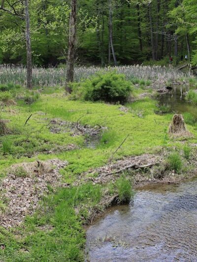 Ogle Lake Trail 7 - Nashville, IN