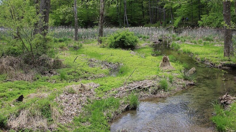 Ogle Lake Trail 7 - Nashville, IN