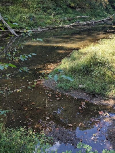 Salt Creek Trail - Nashville, IN