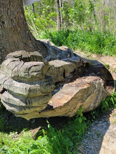Salt Creek Trail, Nashville, Indiana - Nashville, IN