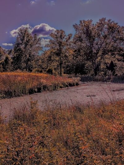 Stone Head Nature Preserve - Nashville, IN