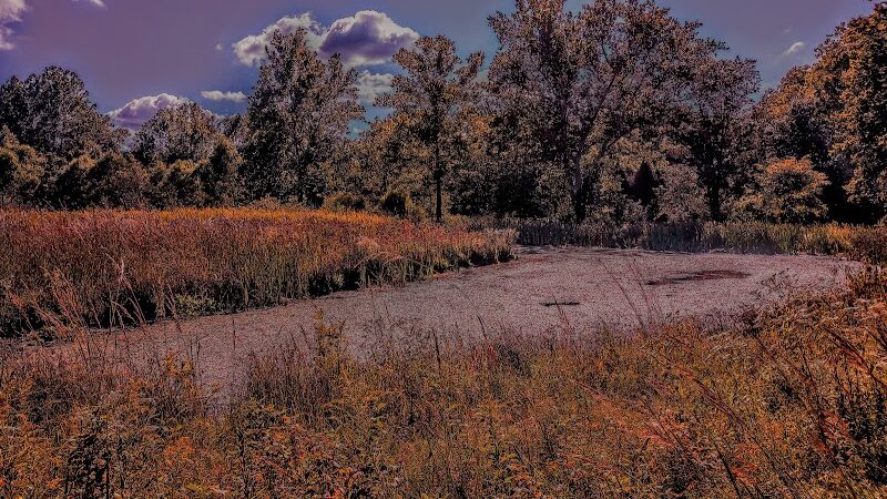 Stone Head Nature Preserve - Nashville, IN