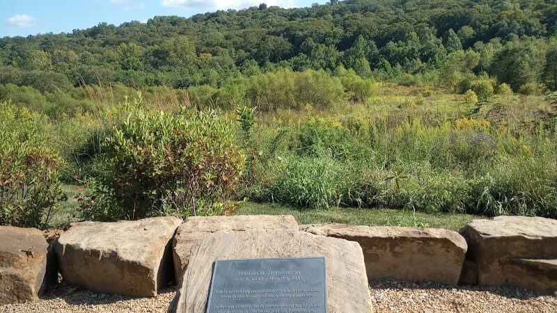 Stone Head Nature Preserve - Nashville, IN