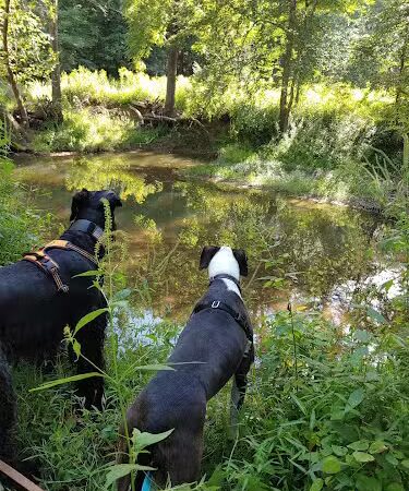 Stone Head Nature Preserve - Nashville, IN