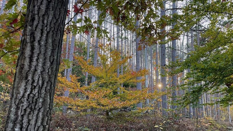 Strahl Lake Shelter House - Nashville, IN