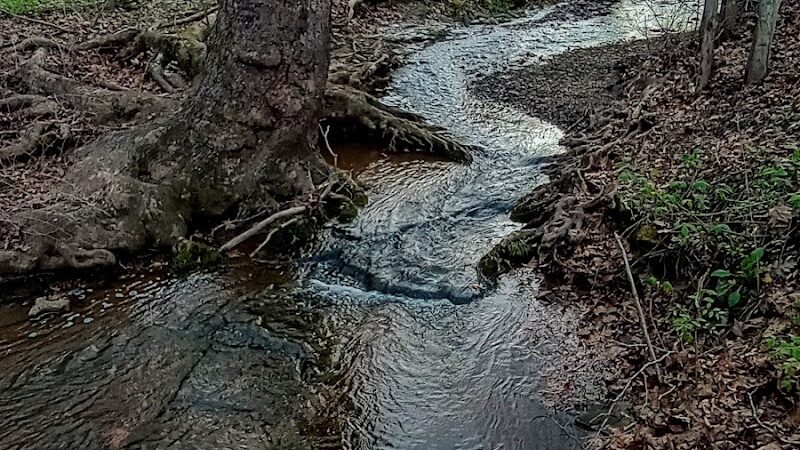 Strahl Lake Shelter House - Nashville, IN