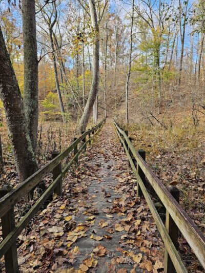 Strahl Lake Shelter House - Nashville, IN