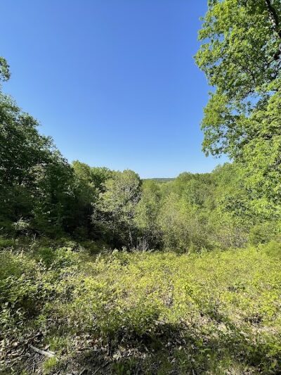 Trail 8, Brown County State Park - Nashville, IN