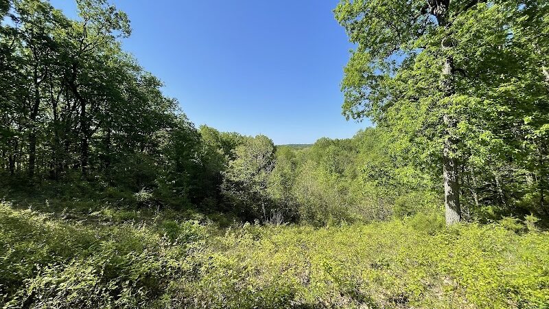 Trail 8, Brown County State Park - Nashville, IN