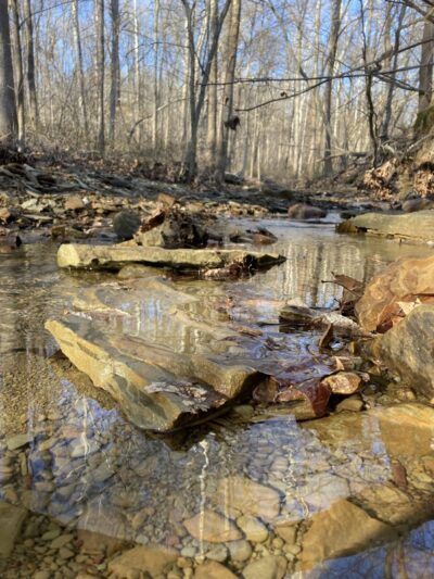 Trail 8, Brown County State Park - Nashville, IN