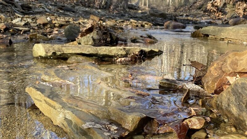 Trail 8, Brown County State Park - Nashville, IN