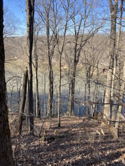 Trail 8, Brown County State Park - Nashville, IN