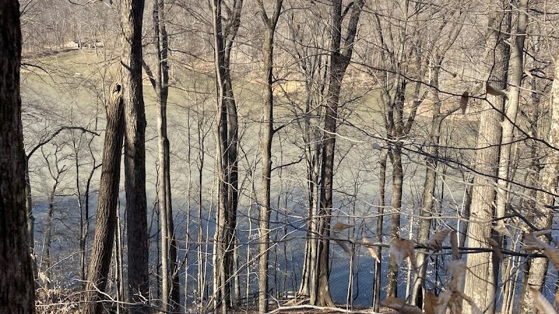 Trail 8, Brown County State Park - Nashville, IN
