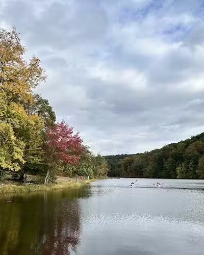 Trail 8, Brown County State Park - Nashville, IN