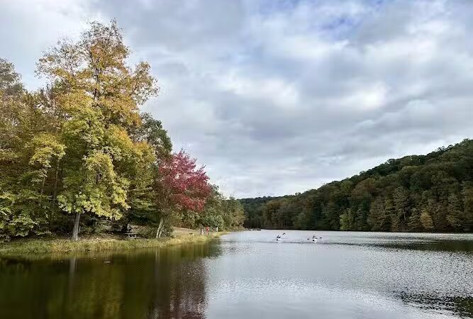 Trail 8, Brown County State Park - Nashville, IN