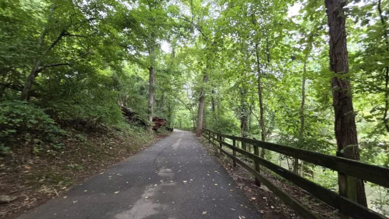 Stones River Dog Park - Nashville, TN