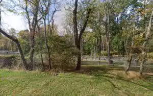 Harrison Hills Dog Park - Natrona Heights, PA