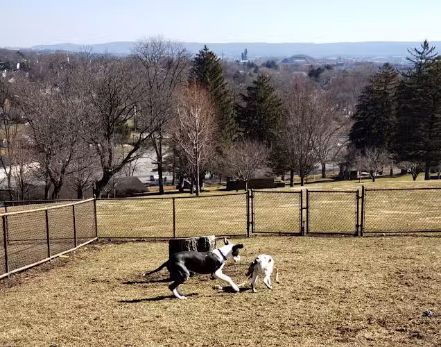 Nazareth Dog Park - Nazareth, PA