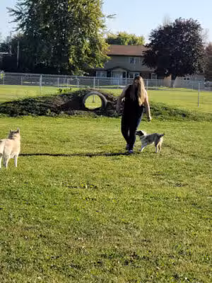 Neenah Dog Park - Neenah, WI