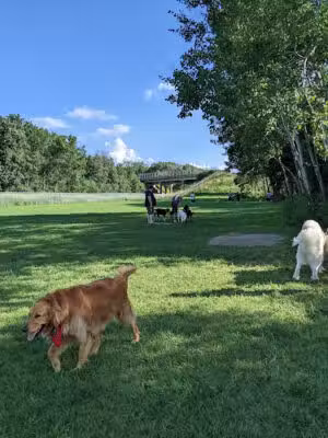 Winnebago County Dog Park - Neenah, WI