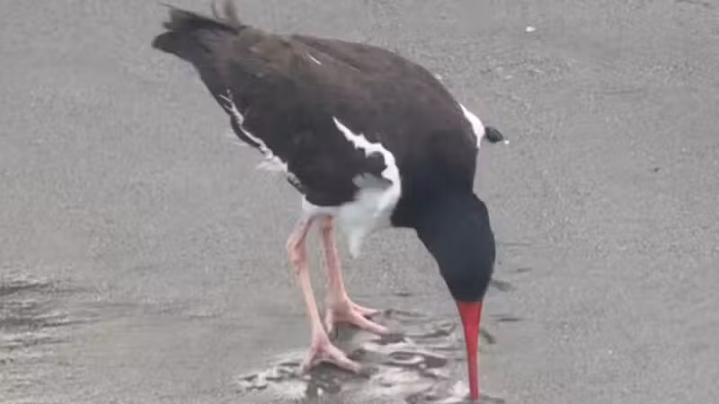 Jacob Riis Park - Neponsit, NY