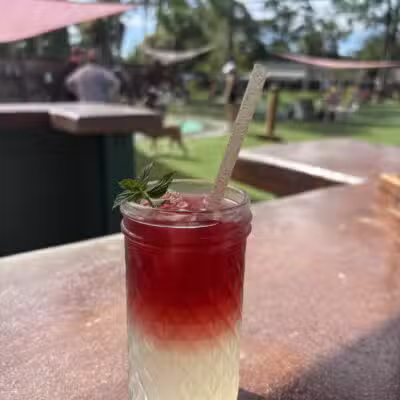 BrewHound Dog Park + Bar - Neptune Beach, FL