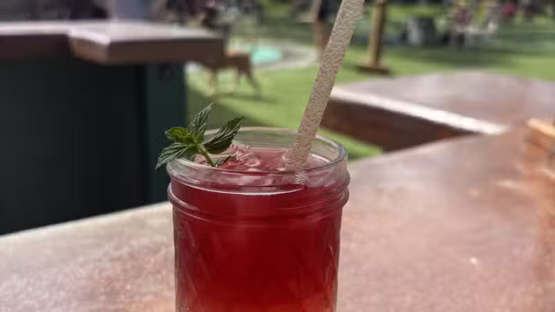 BrewHound Dog Park + Bar - Neptune Beach, FL