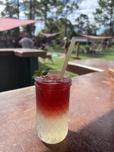 BrewHound Dog Park + Bar - Neptune Beach, FL