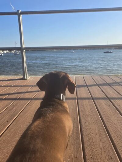 Memorial Park - Neptune City, NJ