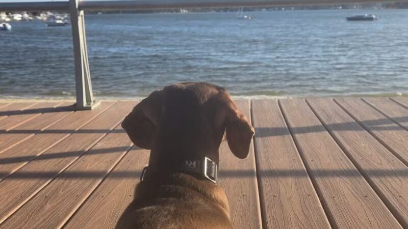 Memorial Park - Neptune City, NJ