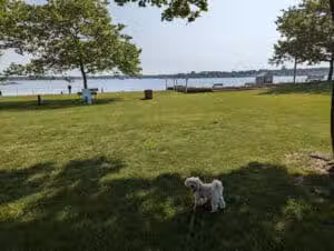 Memorial Park - Neptune City, NJ