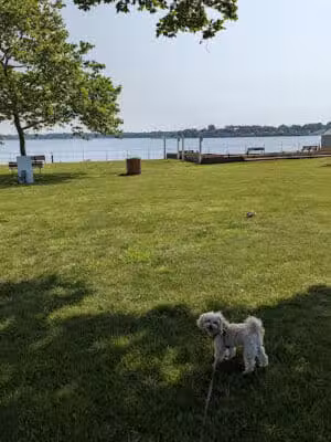 Memorial Park - Neptune City, NJ