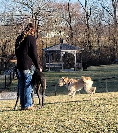 New Albany Dog Park - New Albany, IN