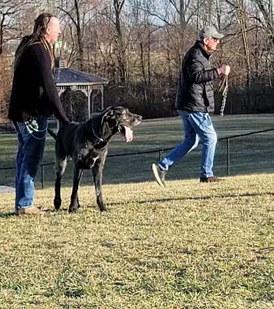 New Albany Dog Park - New Albany, IN