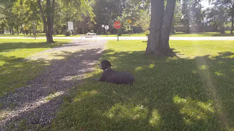 Festival Park - New Baltimore,