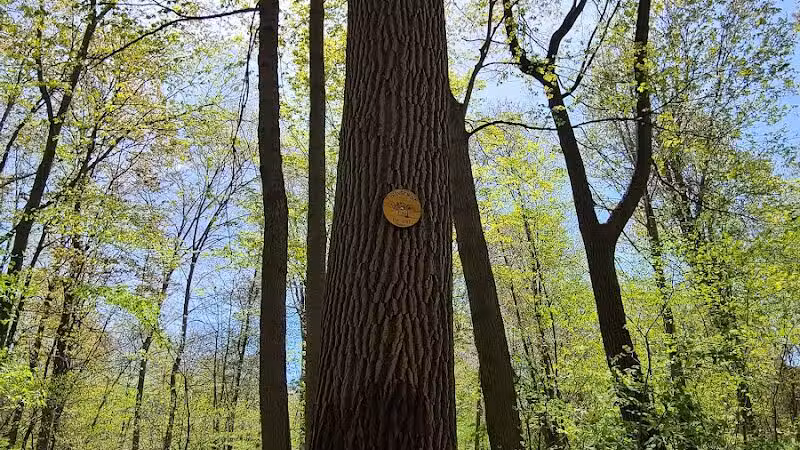 Maynard "Red" Aurand Memorial Park - New Baltimore,