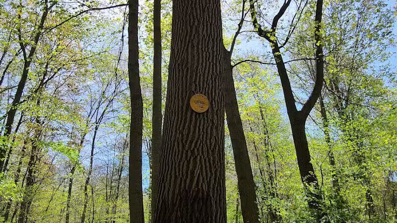 Maynard "Red" Aurand Memorial Park - New Baltimore,