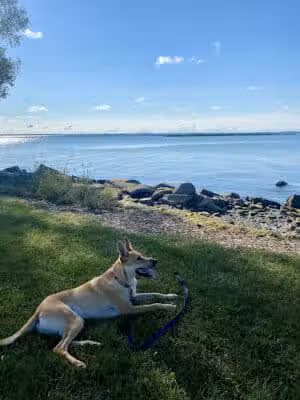 Ruedisale Point Park - New Baltimore,