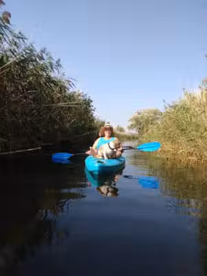 St. John's Marsh Parking Area & boat access - New Baltimore,