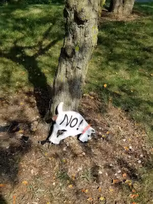 The Gazebo - New Baltimore,