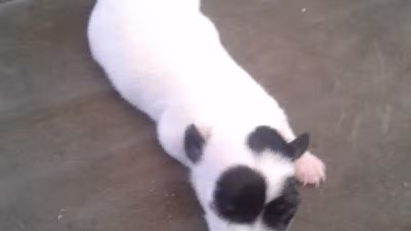 Pollard Park - New Baltimore,