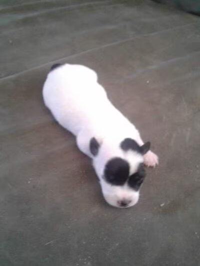 Pollard Park - New Baltimore,